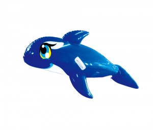 [Arakhan/Winnie Connie]Arakan海豚游泳